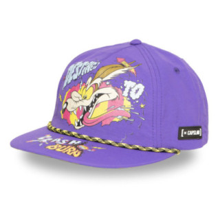 Casquette Flat avec cordelette Looney Tunes Destined to Crash - Photo 1