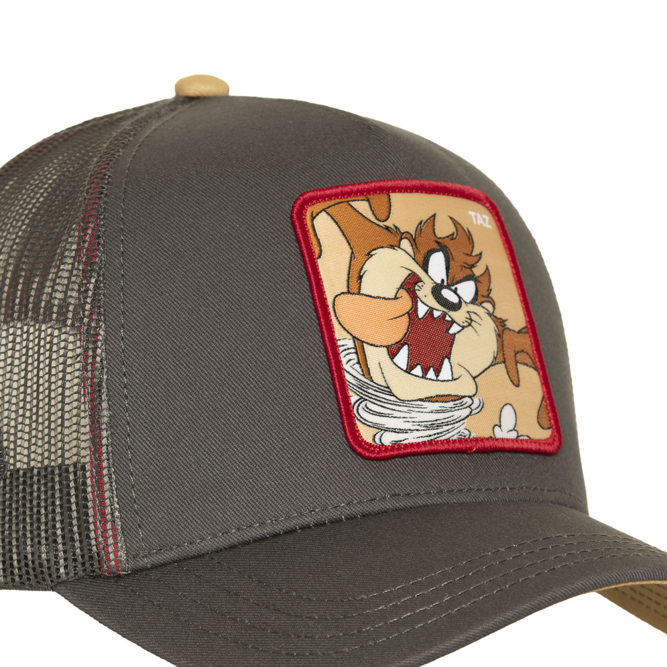 Casquette Trucker Looney Tunes Taz Snapback Marron - Capslab